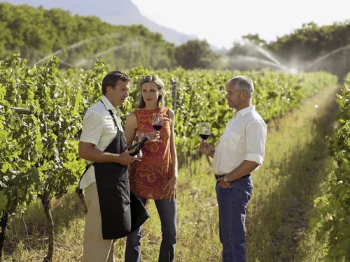 Winelands tasting